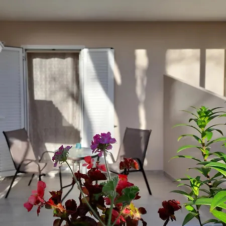 Appartement Sun & Sea à Laganas Extérieur photo