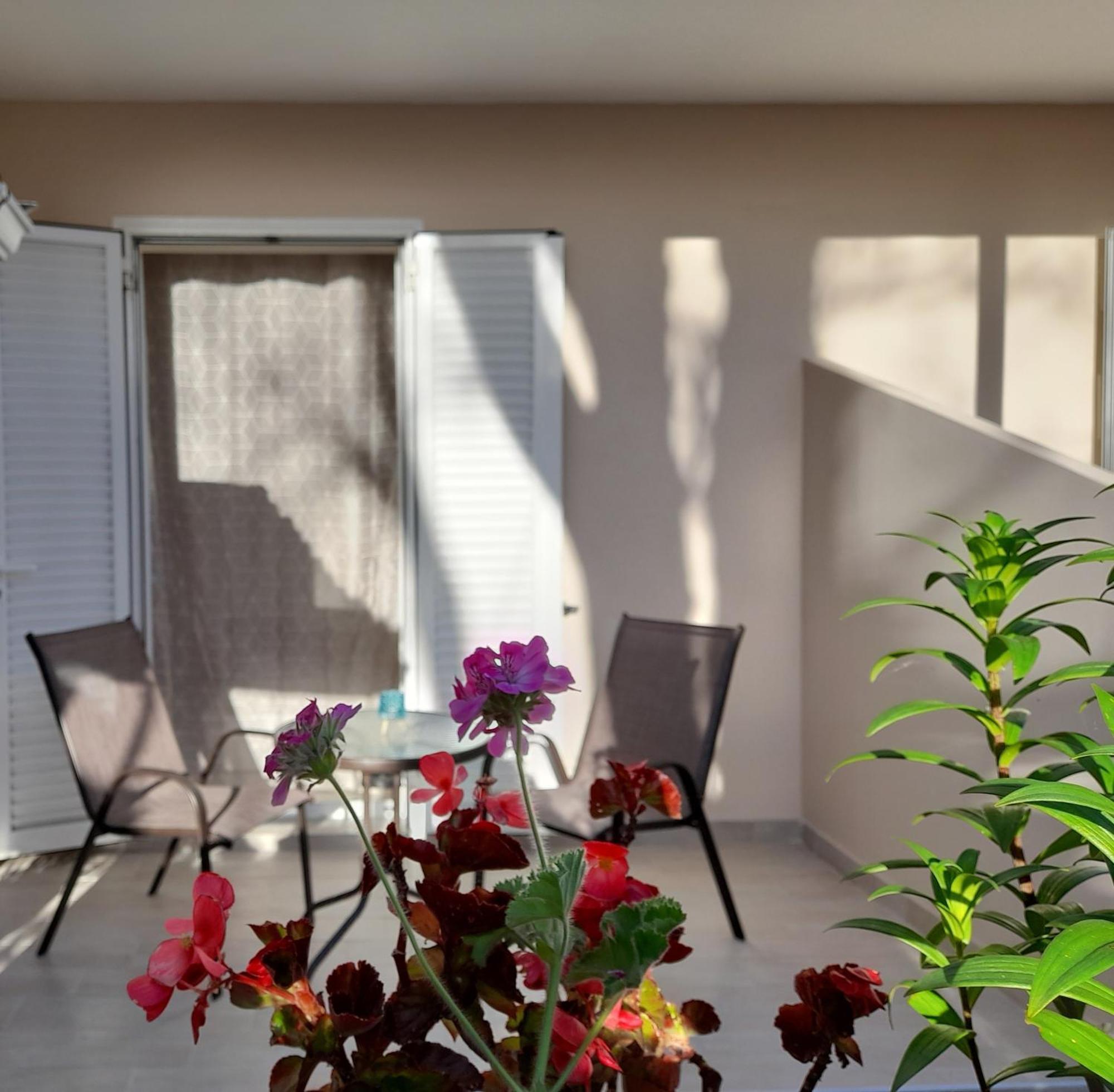 Sun & Sea Apartment *