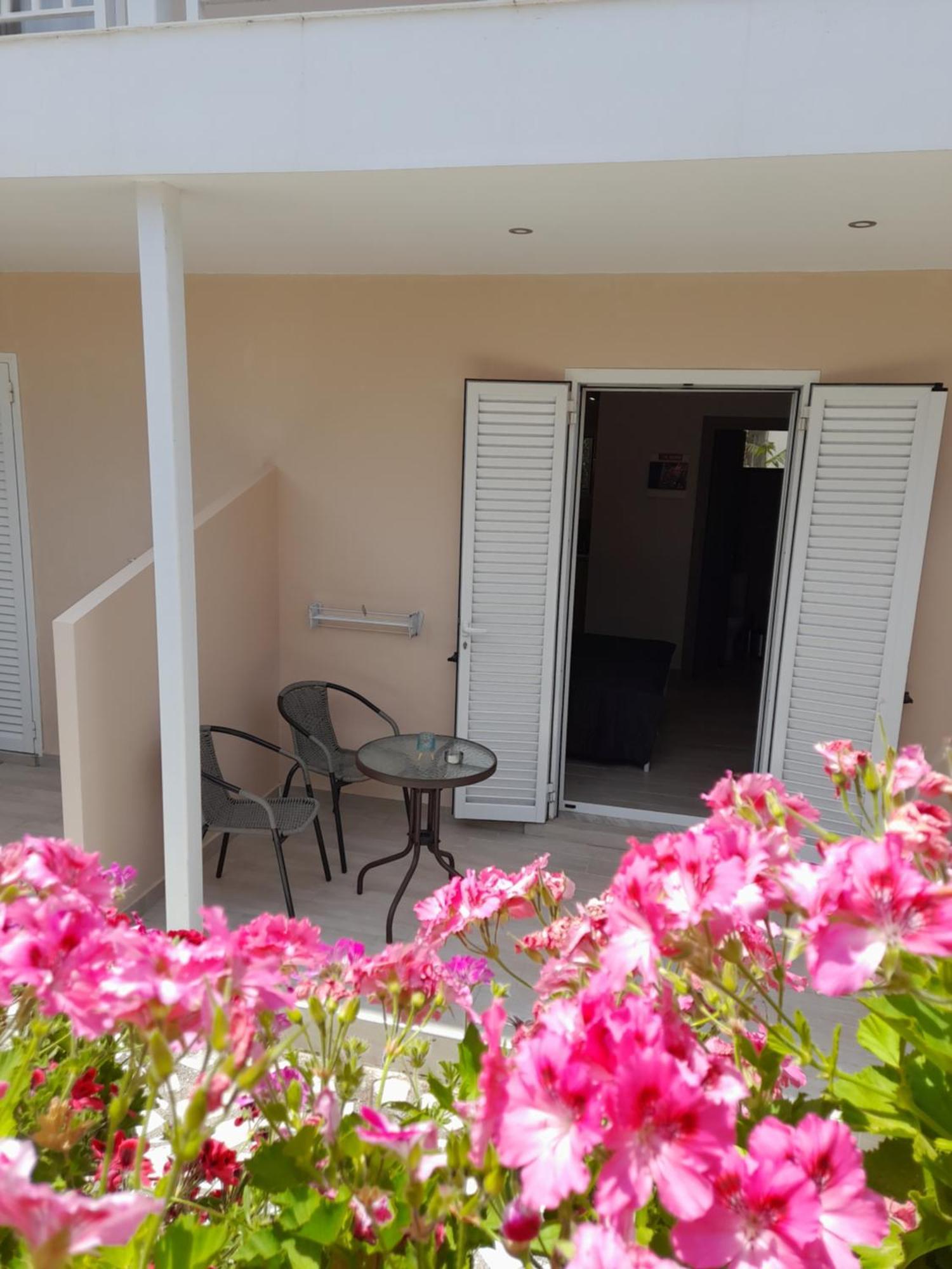 Sun & Sea Apartment Laganas