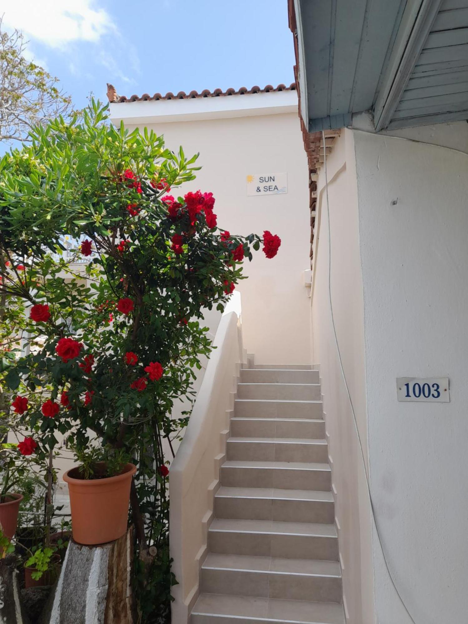 Sun & Sea Apartment Laganas